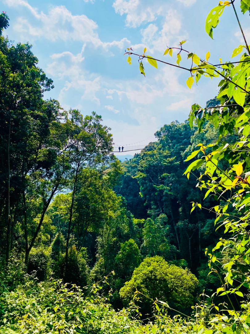 Rwanda Wildlife
